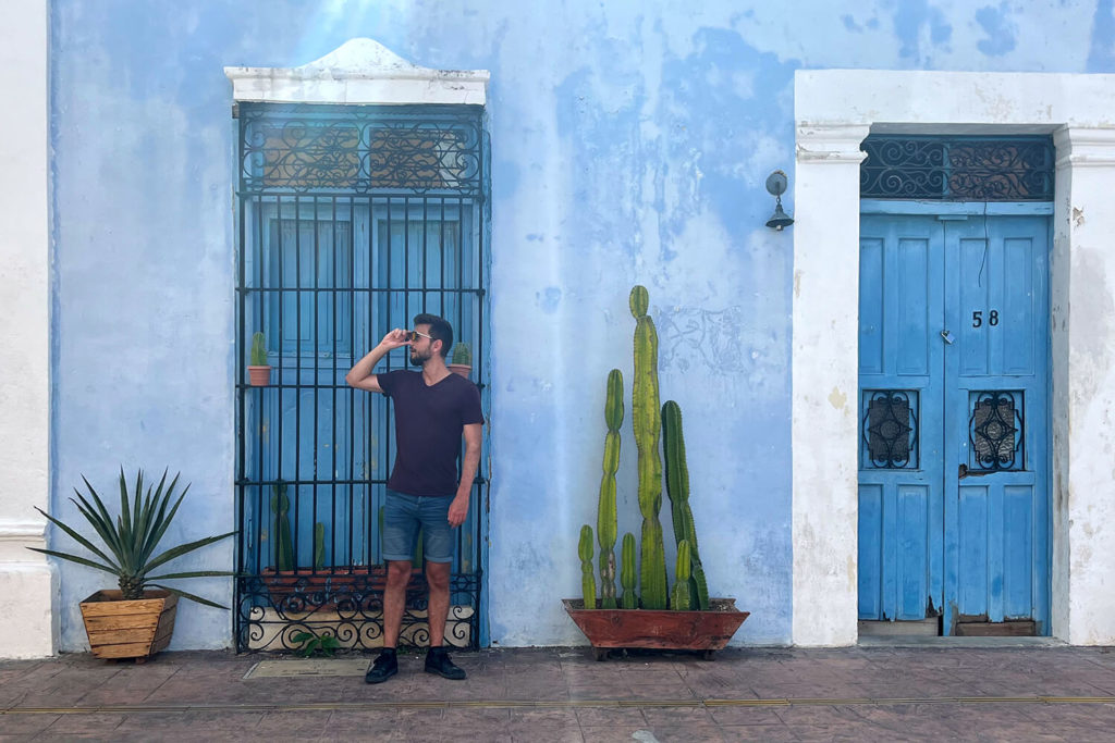 Mann steht vor einer blauen Wand mit Türen und Pflanzen